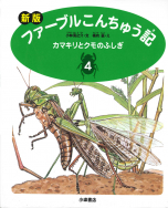 カマキリとクモのふしぎ