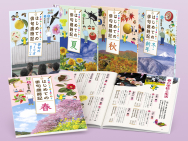 季節のことばをあじわう はじめての俳句歳時記 季節のことばをあじわう はじめての俳句歳時記