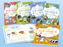 みんなで考えよう！ 日本の自給率