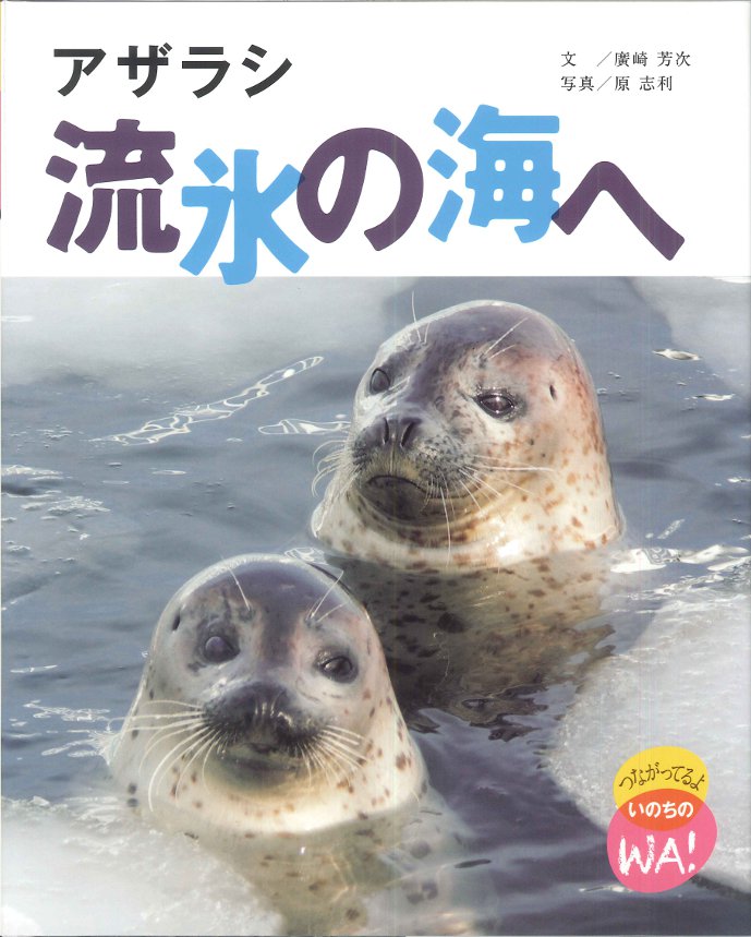 『アザラシ　流氷の海へ』が新聞で紹介されました！