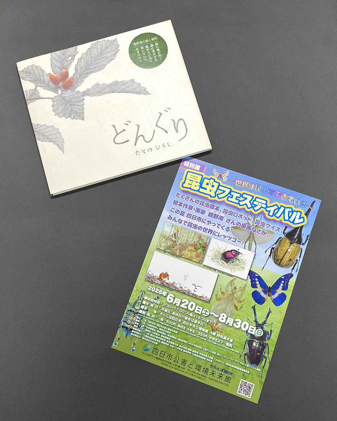 三重の昆虫フェスティバルで舘野鴻さん『どんぐり』の原画が展示！