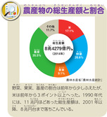 農産物の総生産額と割合