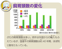 飼育頭数の変化