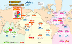 日本の漁船が世界の海でとる魚
