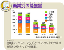 漁業別の漁獲量