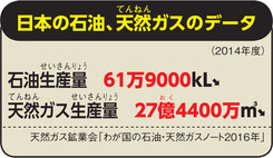 日本の石油、天然ガスのデータ