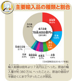 主要輸入品の種類と割合