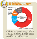 救急搬送の内わけ