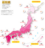 桜前線