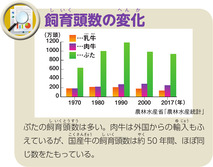 飼育頭数の変化
