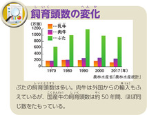 飼育頭数の変化