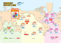 日本の漁船が世界の海でとる魚