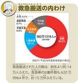 救急搬送の内わけ