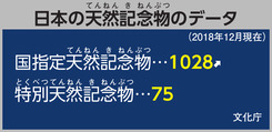 日本の天然記念物のデータ