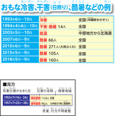 おもな冷害、干害（日照り）、酷暑などの例