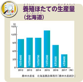 養殖ほたての生産量（北海道）
