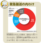 救急搬送の内わけ