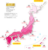 桜前線