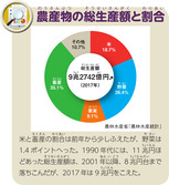 農産物の総生産額と割合