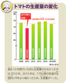 トマトの生産量の変化