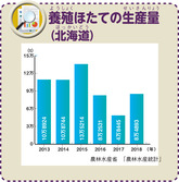 養殖ほたての生産量（北海道）