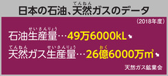 日本の石油、天然ガスのデータ