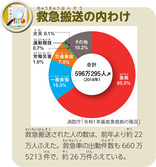 救急搬送の内わけ