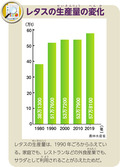 レタスの生産量の変化
