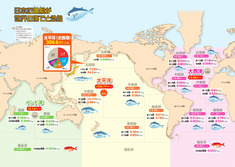 日本の漁船が世界の海でとる魚