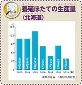 養殖ほたての生産量（北海道）
