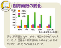 飼育頭数の変化