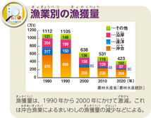 漁業別の漁獲量